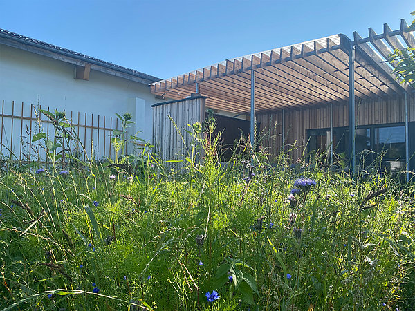 Landschaftsbau und Gartenbau