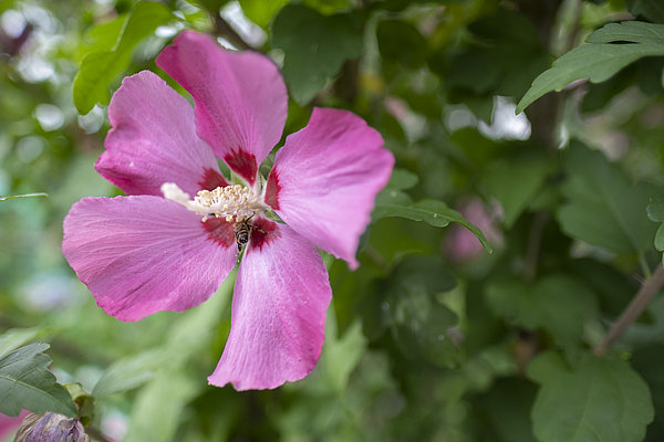 Landschaftsbau und Gartenbau