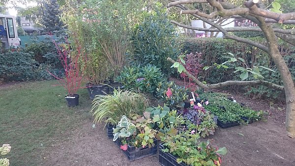 Landschaftsbau und Gartenbau