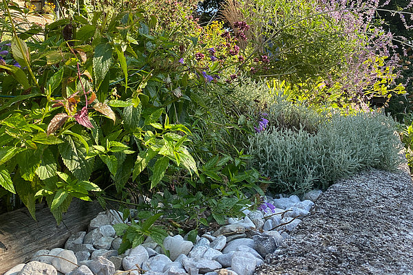 Landschaftsbau und Gartenbau