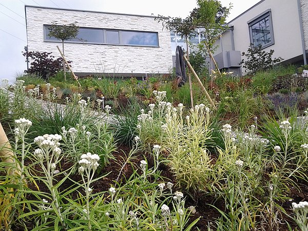 Landschaftsbau und Gartenbau