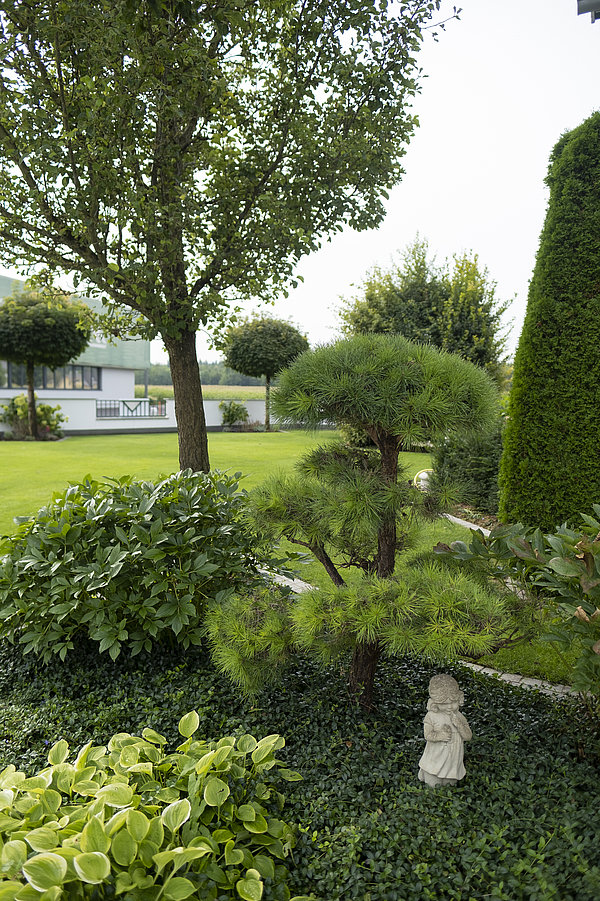 Landschaftsbau und Gartenbau