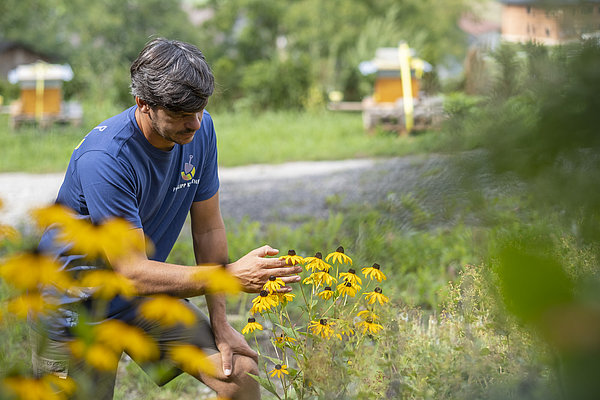 Landschaftsbau und Gartenbau