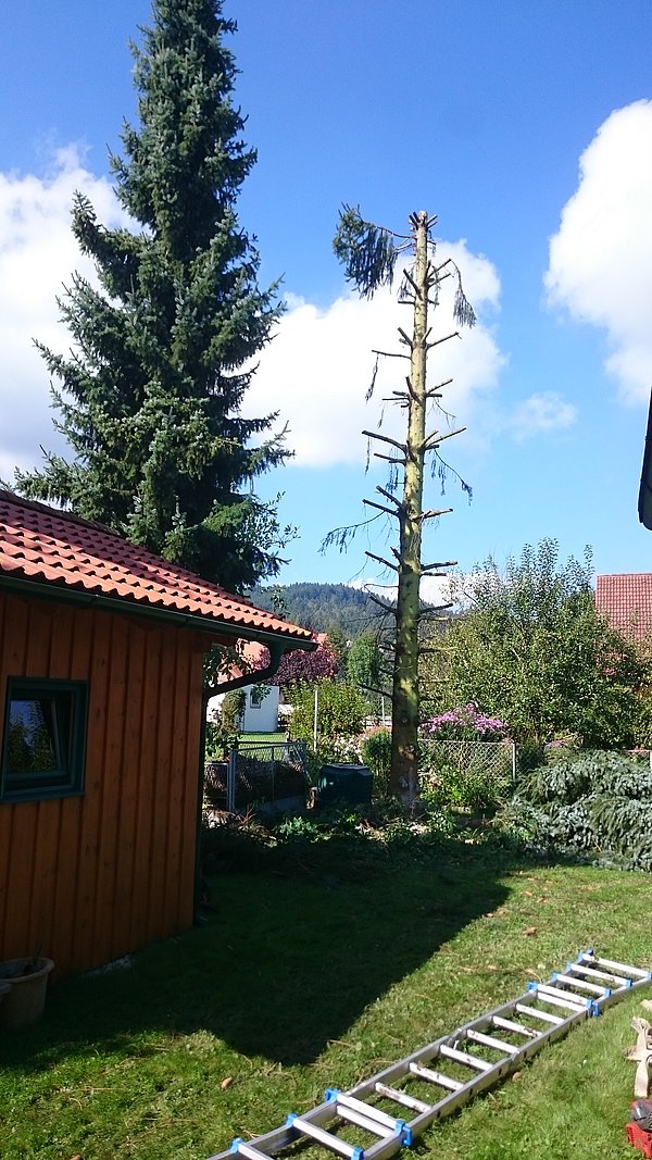 Landschaftsbau und Gartenbau