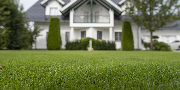 Landschaftsbau und Gartenbau