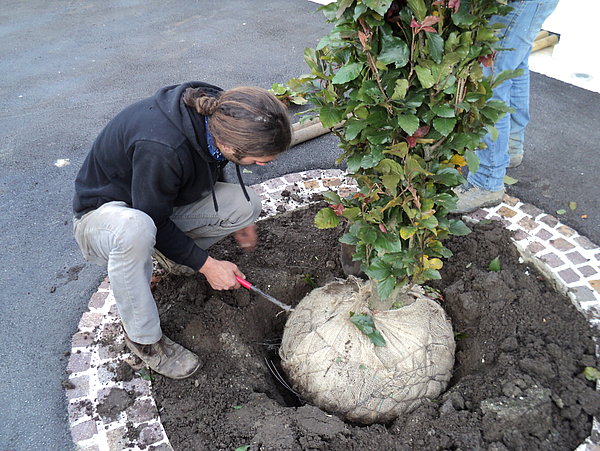 Landschaftsbau und Gartenbau