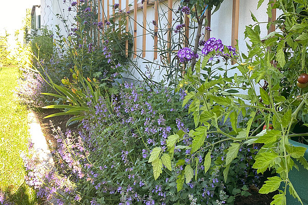 Landschaftsbau und Gartenbau