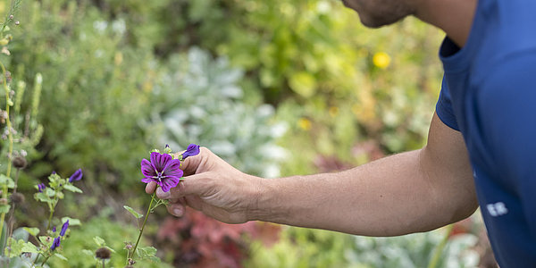 Landschaftsbau und Gartenbau
